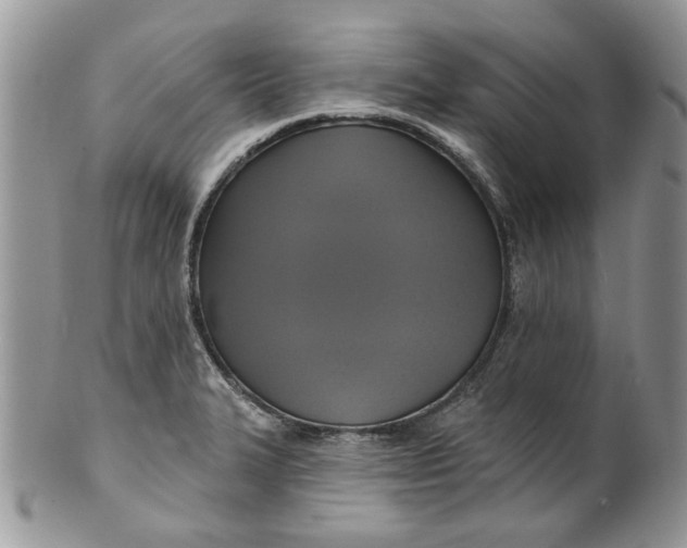 X0000099951327200806131439