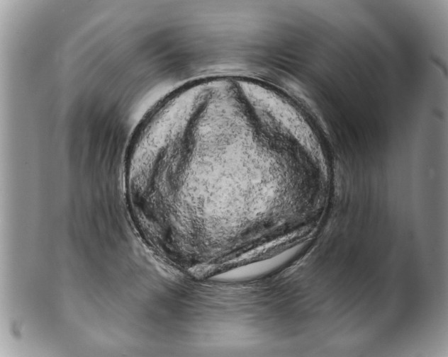 X0000099951328200806131439