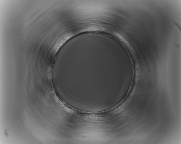 X0000099951329200806131439