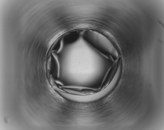 X0000099951330200806131439