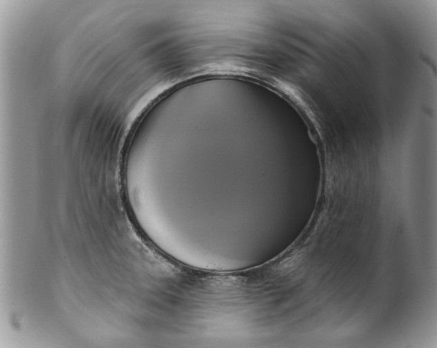 X0000099951331200806131439