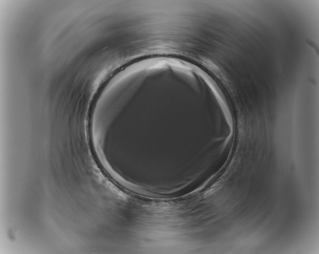 X0000099951334200806131439