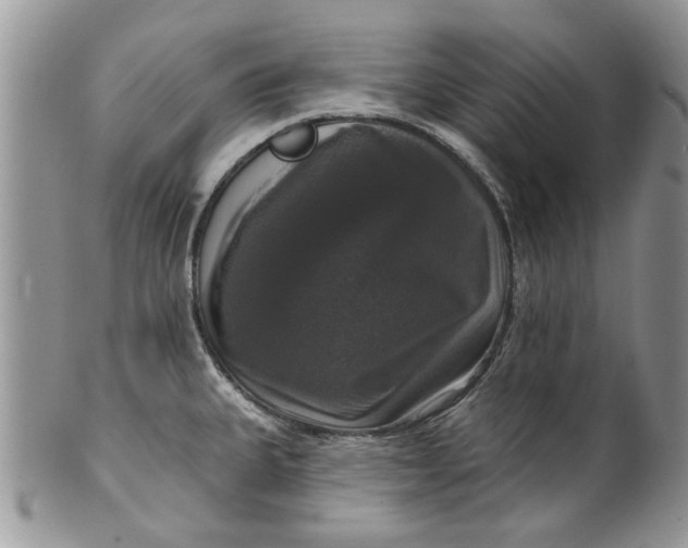 X0000099951335200806131439