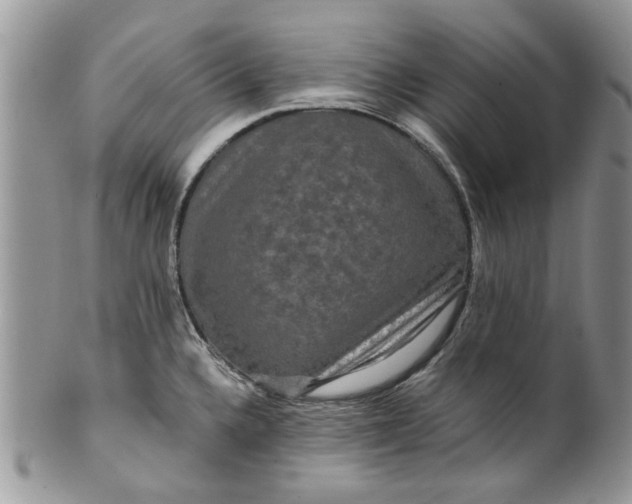 X0000099951336200806131439