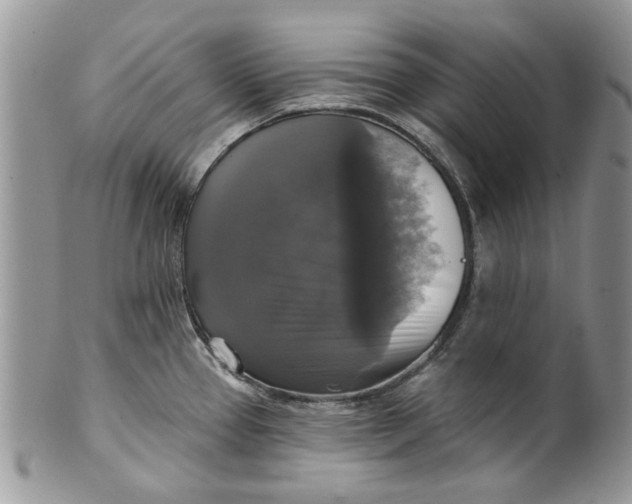 X0000099951337200806131439