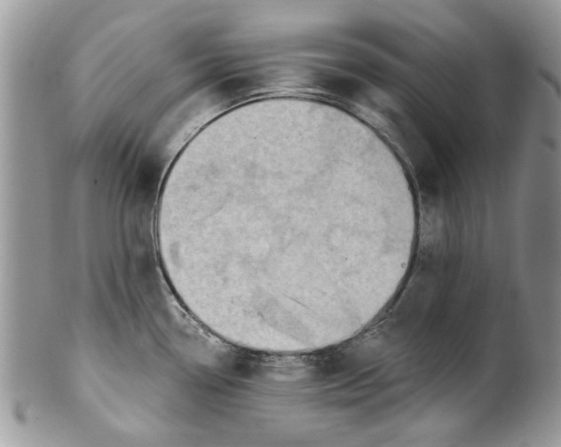 X0000099951338200806131439