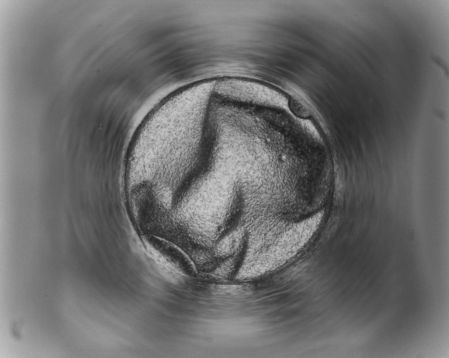 X0000099951339200806131439