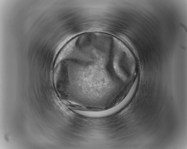 X0000099951340200806131439