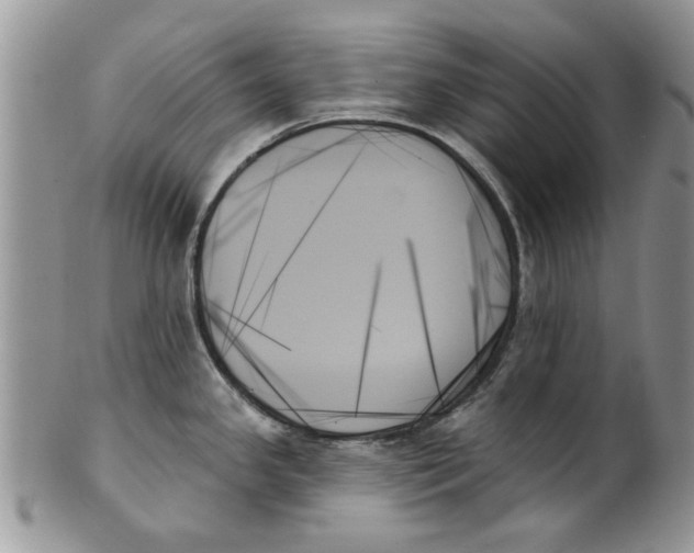 X0000099951341200806131439