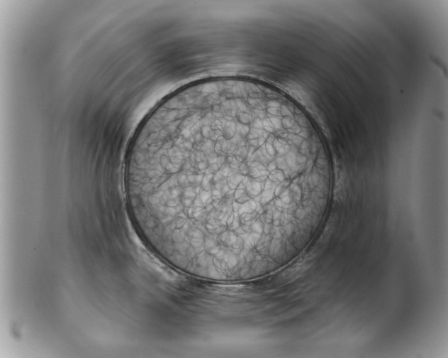 X0000099951342200806131439