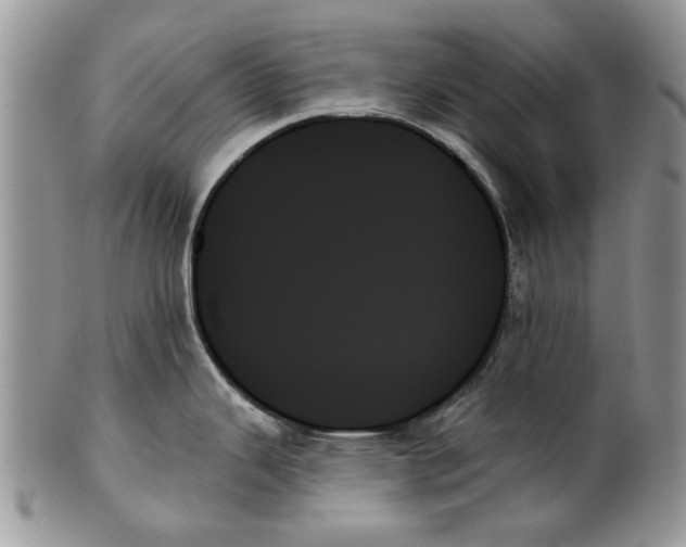 X0000099951343200806131439