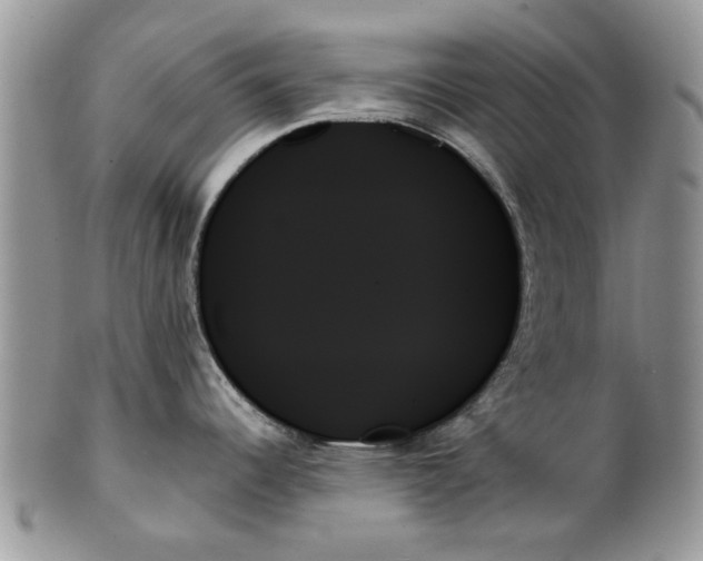 X0000099951344200806131439