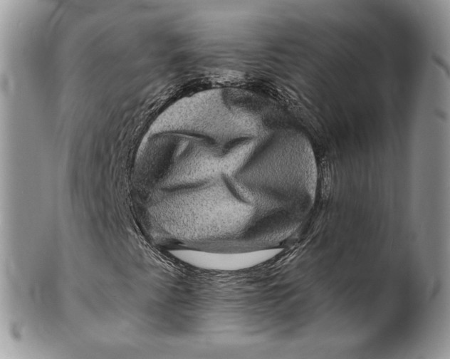 X0000099951345200806131438