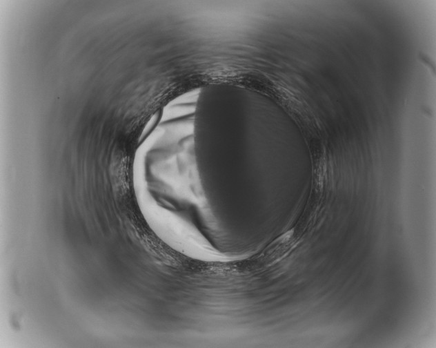 X0000099951346200806131438