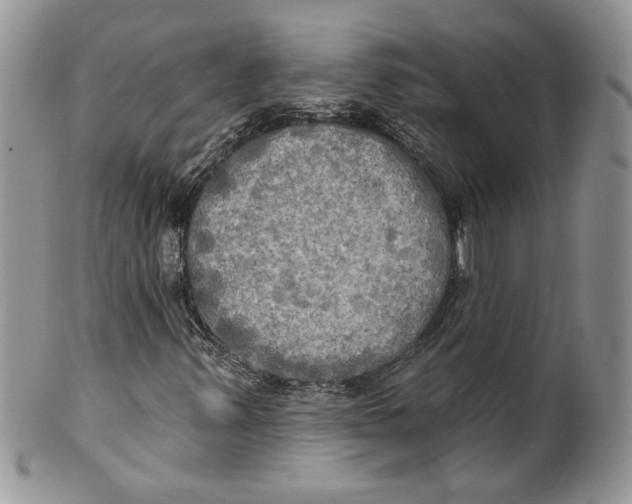 X0000099951347200806131438