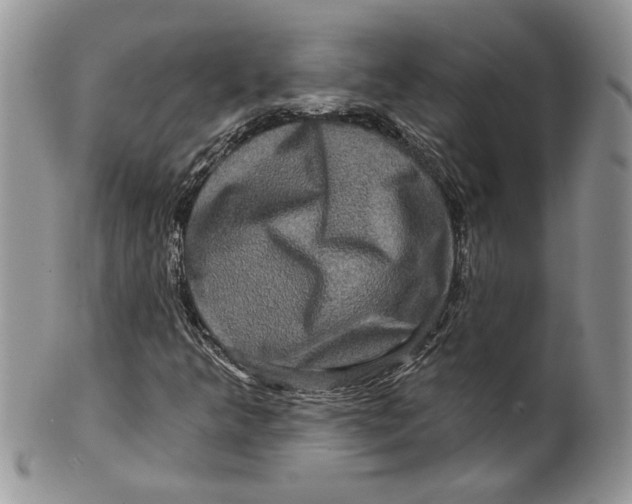 X0000099951349200806131438