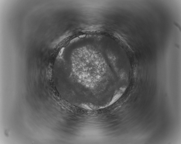 X0000099951350200806131438