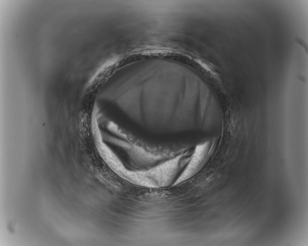 X0000099951351200806131438