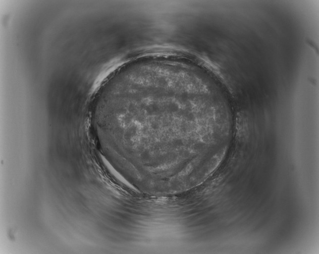 X0000099951352200806131438