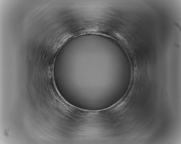 X0000099951353200806131438