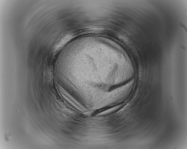 X0000099951354200806131438