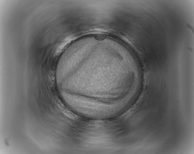 X0000099951355200806131438