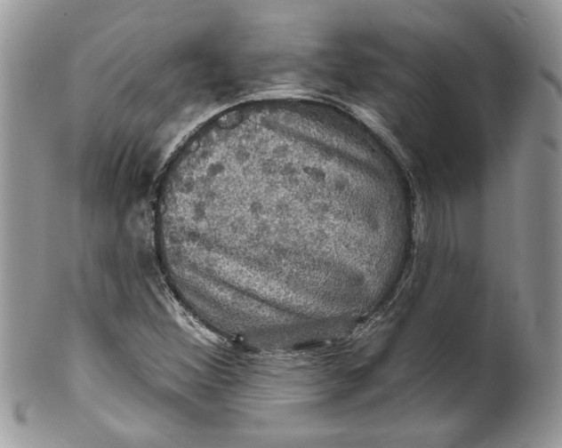 X0000099951356200806131438