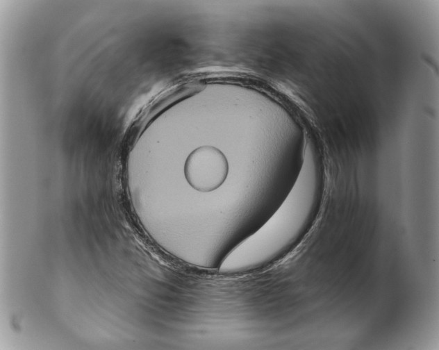 X0000099951357200806131438