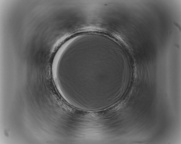 X0000099951358200806131438