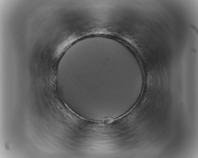 X0000099951359200806131438