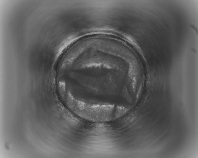 X0000099951360200806131438