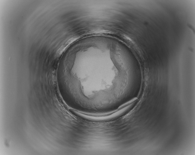 X0000099951361200806131438