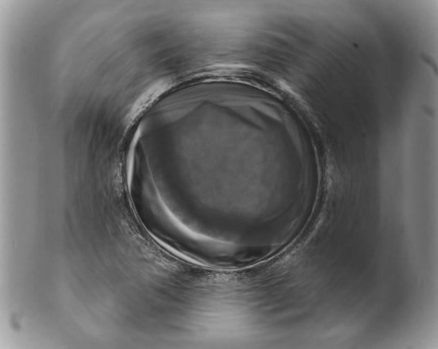 X0000099951362200806131438