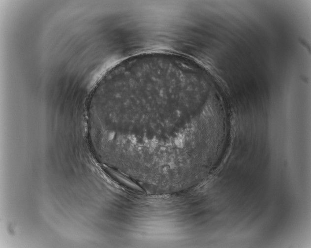 X0000099951363200806131438