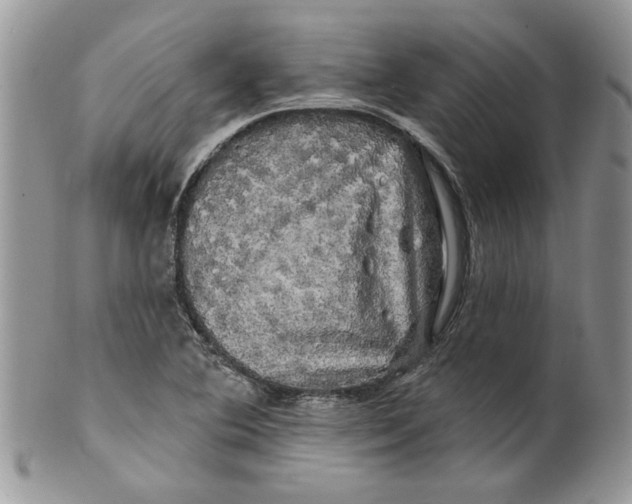 X0000099951364200806131438