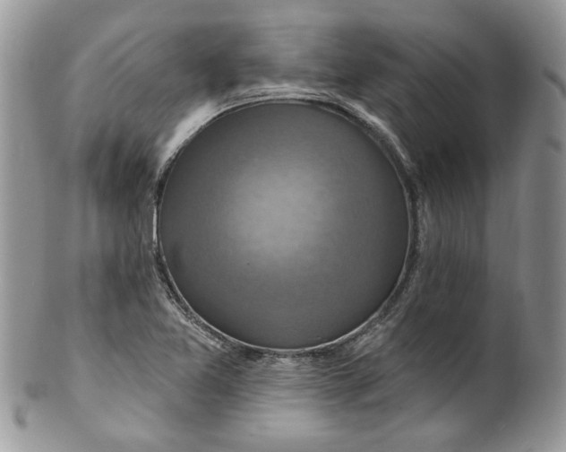 X0000099951365200806131438