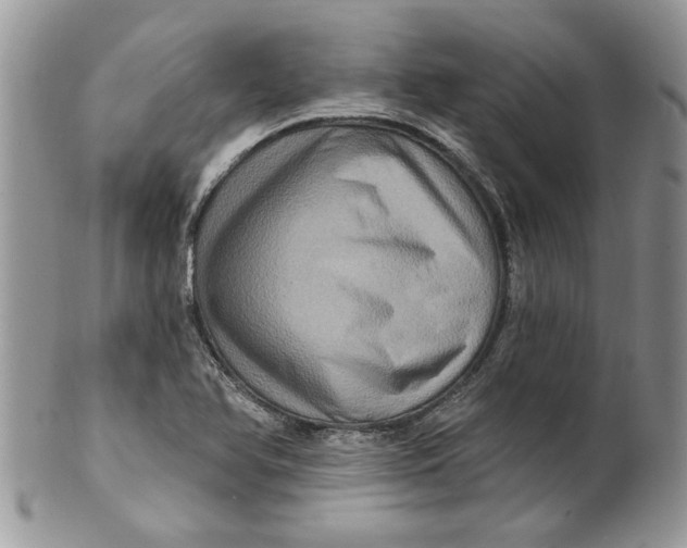 X0000099951366200806131438