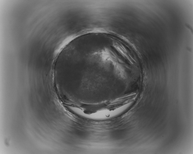 X0000099951367200806131438