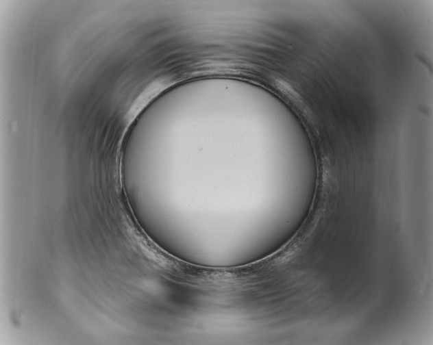 X0000099951370200806131438