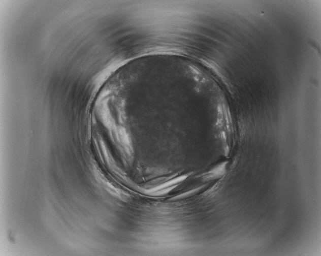 X0000099951371200806131438