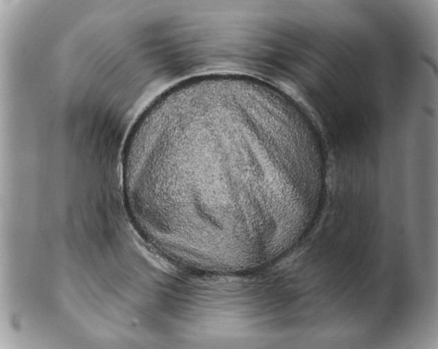 X0000099951372200806131438