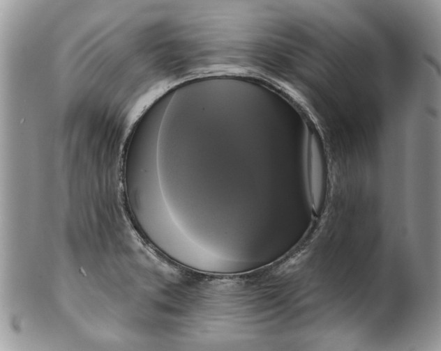 X0000099951373200806131438