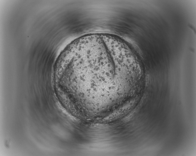 X0000099951374200806131438