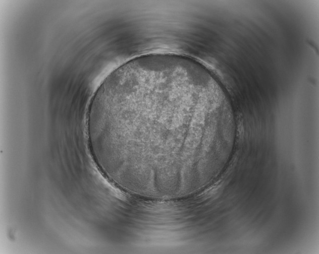 X0000099951375200806131438