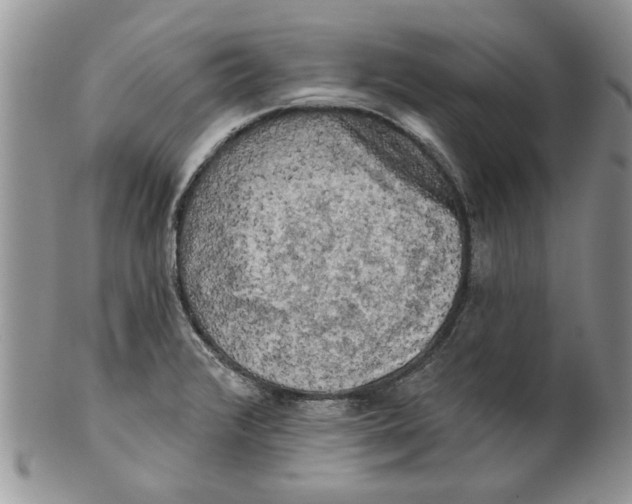 X0000099951376200806131438