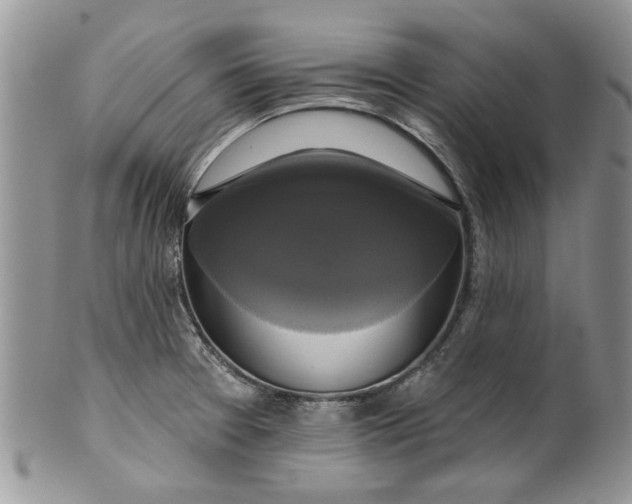 X0000099951377200806131438