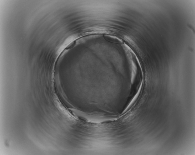 X0000099951378200806131438