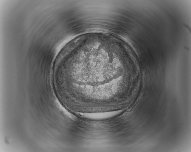 X0000099951379200806131438