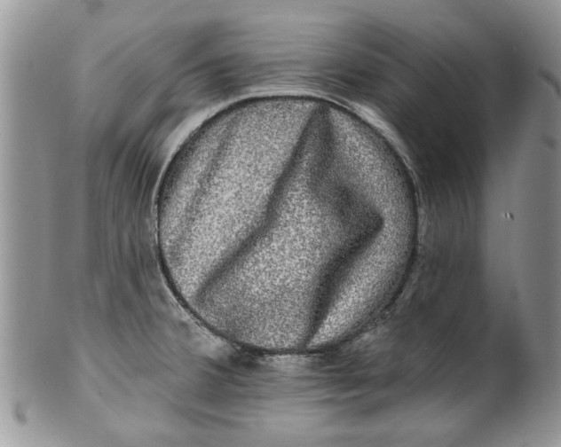 X0000099951380200806131438