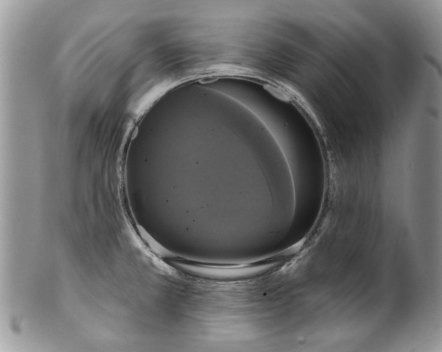 X0000099951381200806131438